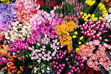 《忍者龙剑传4》将在2026年年初推出新剧情DLC